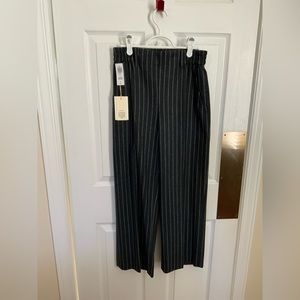 Nwt Aritzia joli pants-size small